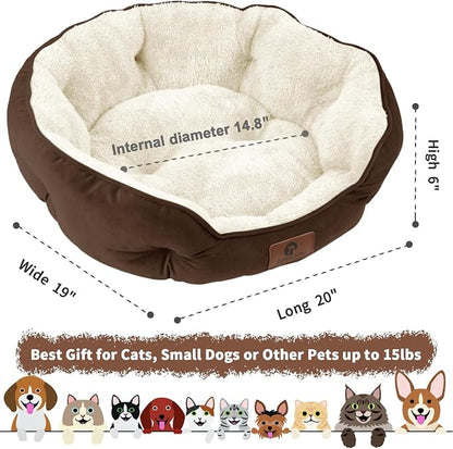Asvin Small Dog Bed for Small Dogs, Cat Beds for Indoor Cats, Pet Bed for Puppy - Image 3