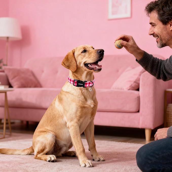 DOGWONG Pink Checkered Dog Collar, Cute Pink Plaid Dog Collars, Adjustable Girl - Image 5