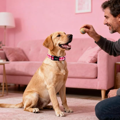 DOGWONG Pink Checkered Dog Collar, Cute Pink Plaid Dog Collars, Adjustable Girl - Image 5