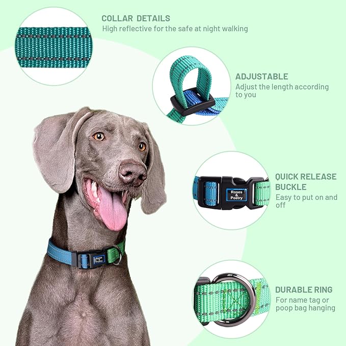 Roses&Poetry Dog Collars for Medium Dogs, Adjustable Durable Pet Collars for - Image 3