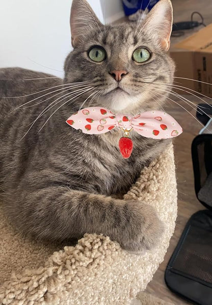 Bowtie Cat Collar with Bell 2 Pack Stylish Breakaway Kitten Collars with - Image 6