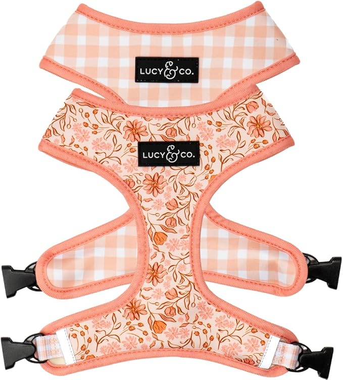 Lucy & Co. Cute Reversible Dog Harness Walking Halter by LucyCo