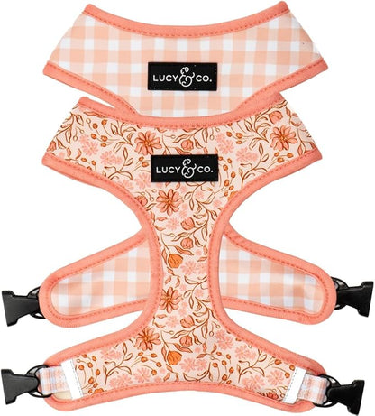 Lucy & Co. Cute Reversible Dog Harness Walking Halter by LucyCo
