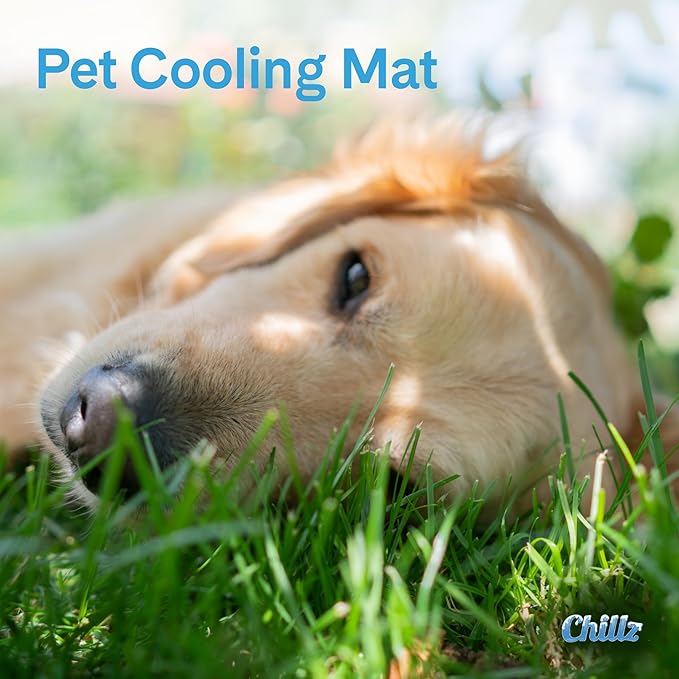 The Green Pet Shop Chillz Gel Mat, Extra Large - Image 3