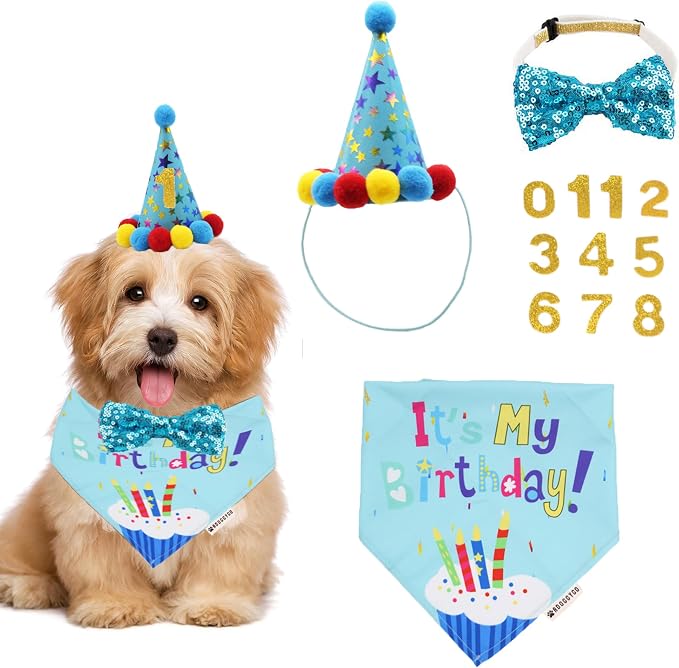 ADOGGYGO Dog Birthday Bandana Scarf and Blue Boy Puppy Birthday Party Hat by ADOGGYGO