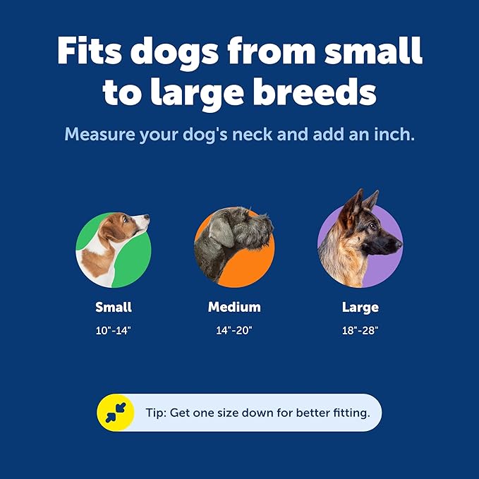 PetSafe KeepSafe Collar for Dogs - Image 5