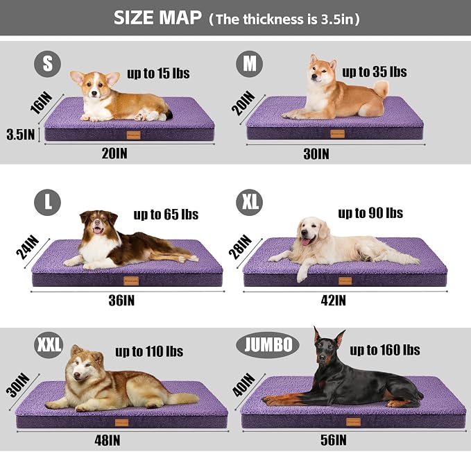 Patas Lague Orthopedic XL Dog Bed Large Sized Dog 48''X30'', Soft Waterproof - Image 5