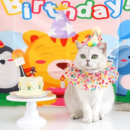 Cat Dog Princess Costumes Puppy Cat Birthday Bandana Scarf and Party Hat Cute - Image 5
