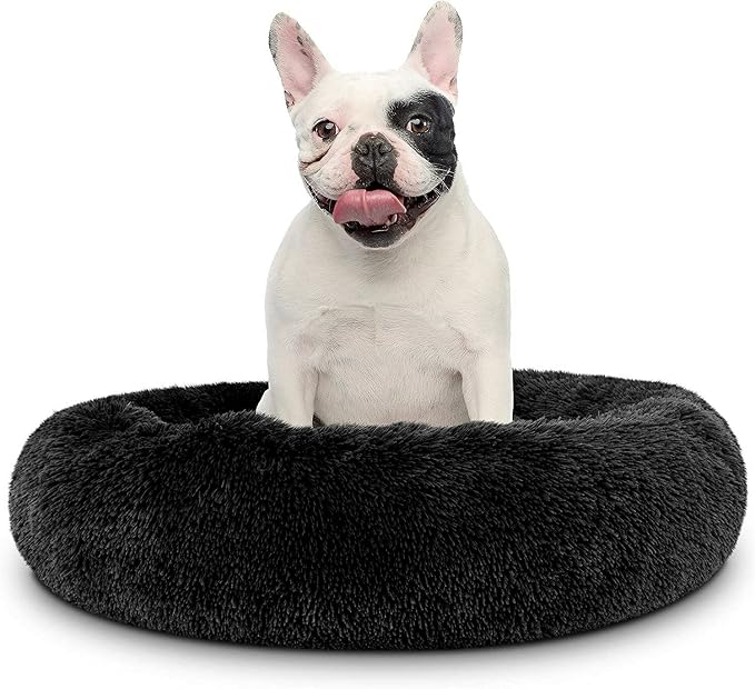 Cat Beds for Indoor Cats by Unknown