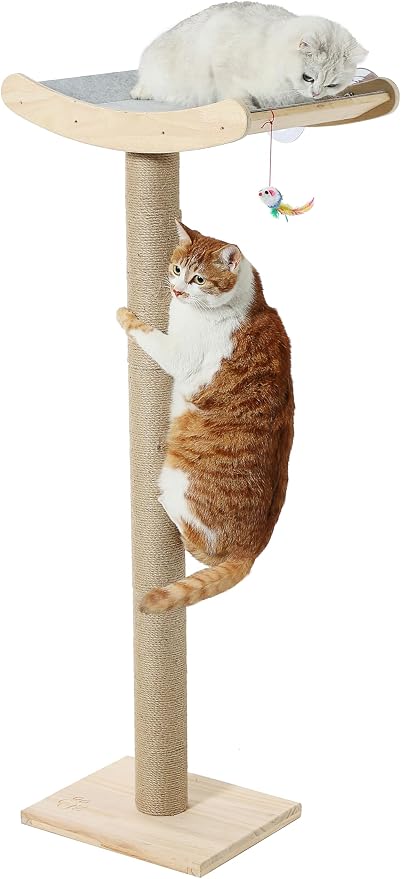 Window Cat Perch with Scratching Posts, Mounted with 3 Strong Suction Cups by Caloreduce