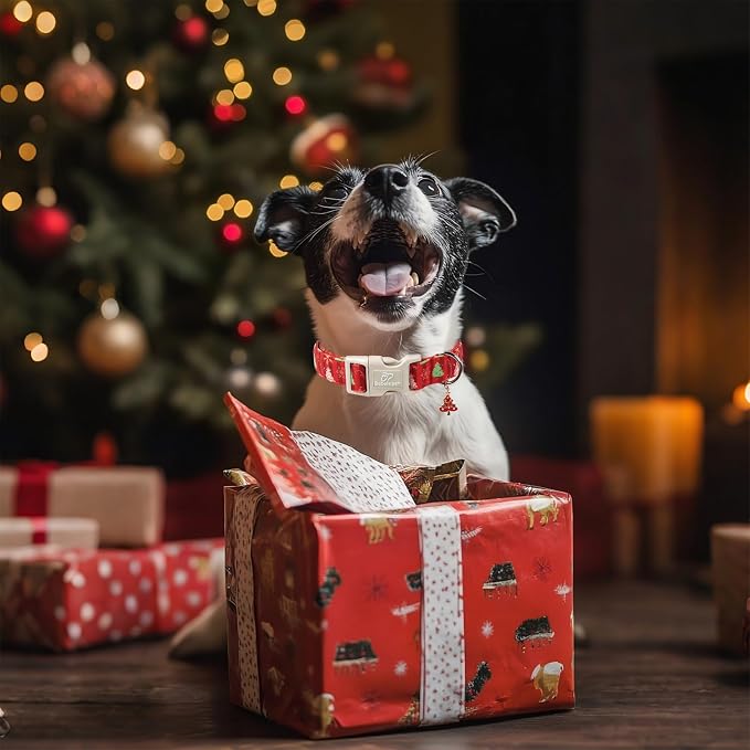 Christmas Dog Collar - Image 7