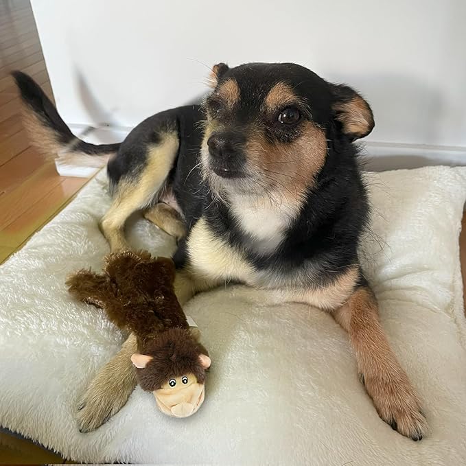 Best Pet Supplies Squeaky Dog Toys - Image 2