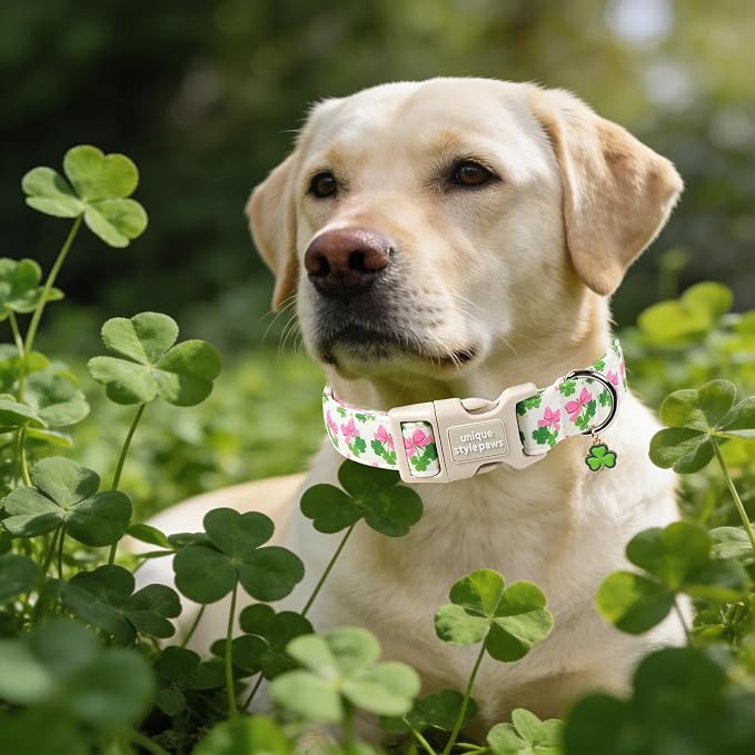 Unique style paws Dog Collar Plastic Buckle - Image 5
