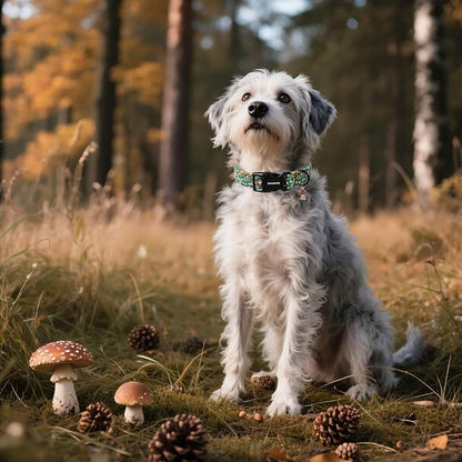 DOGWONG Fall Dog Collar, Autumn Dog Collar Adjustable Soft Natural Fabric - Image 4