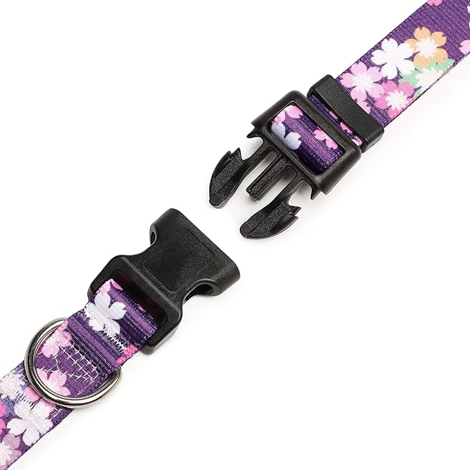 Mercano Adjustable Dog Collar - Image 5
