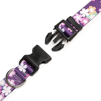 Mercano Adjustable Dog Collar - Image 5