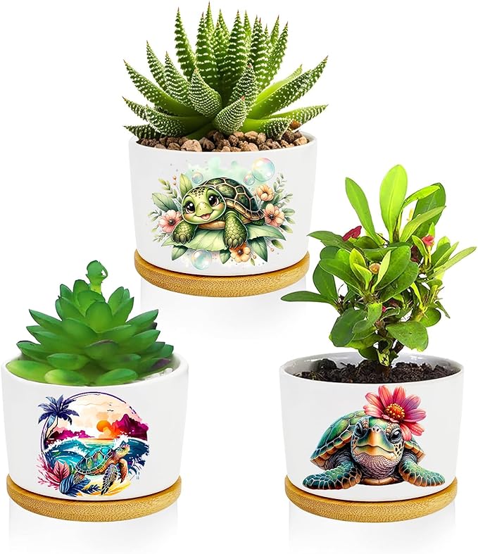 Turtle Succulent Pots 3 Pack, 3 Inch Succulent Planters by Databa