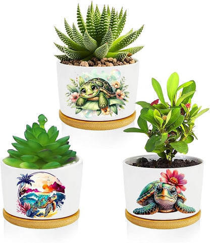 Turtle Succulent Pots 3 Pack, 3 Inch Succulent Planters by Databa
