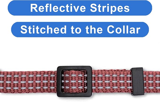 Pawtitas Reflective Brown Cat Collar - Image 4