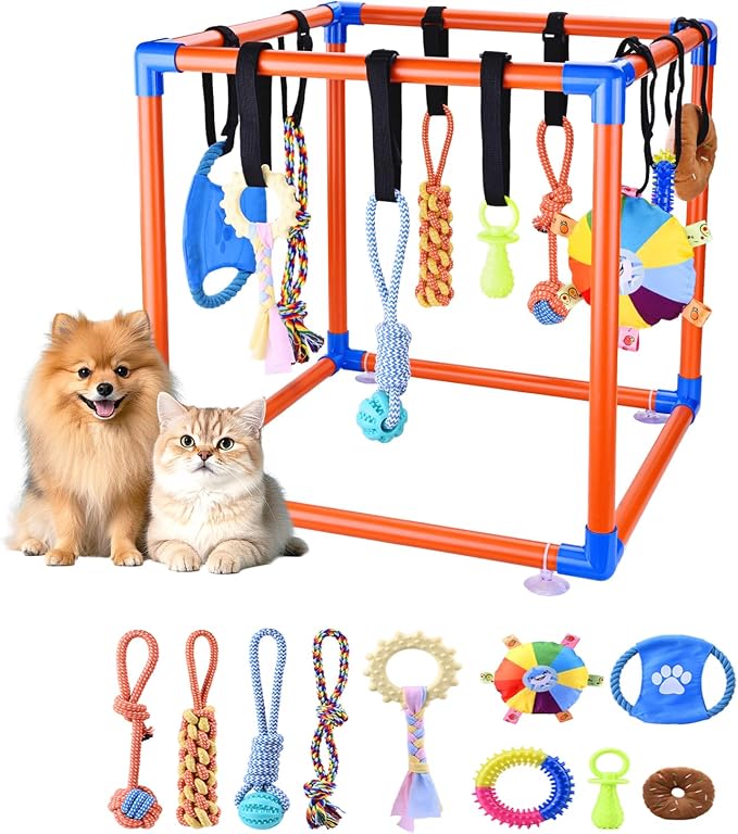 Puppy Play Gym for Small Dogs by QUJOGA