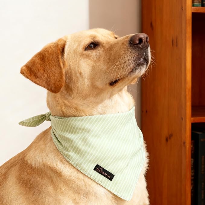 ARING PET Summer Dog Bandana-Cute Green Dog Bandanas, Comfortable Pet Scarf - Image 4