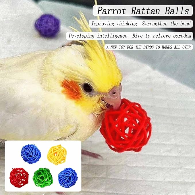 8 PCS Natural Wood Bird Perches Stand - Image 6