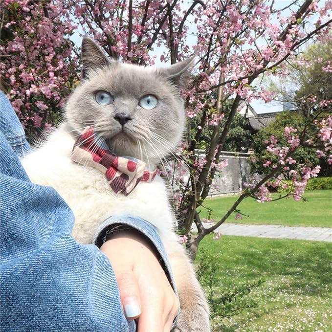 Cat Collar Bowtie with Bell, Quick Release Buckle Safety and Durable Kitties - Image 3