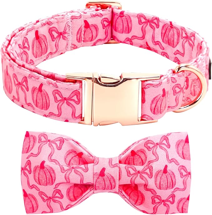 Dog Collar by BoboRainbow