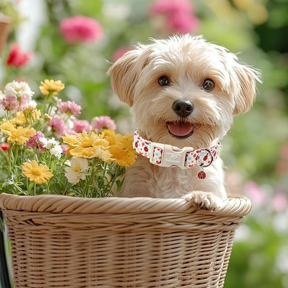 Ladybug Dog Collar for Small Dogs - Image 2