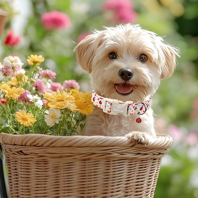 Ladybug Dog Collar for Small Dogs - Image 2