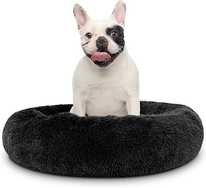 Cat Beds for Indoor Cats by Unknown