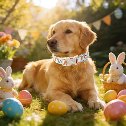 Unique style paws Dog Collar Plastic Buckle - Image 5