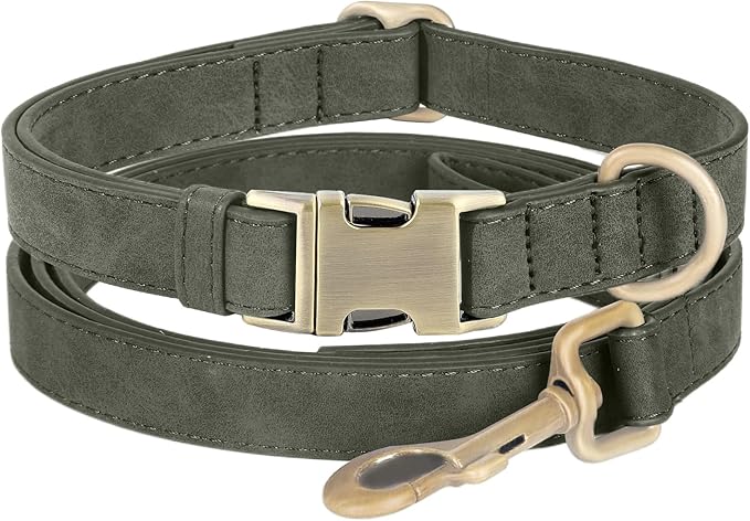 Genuine Leather Dog Collar by HOME