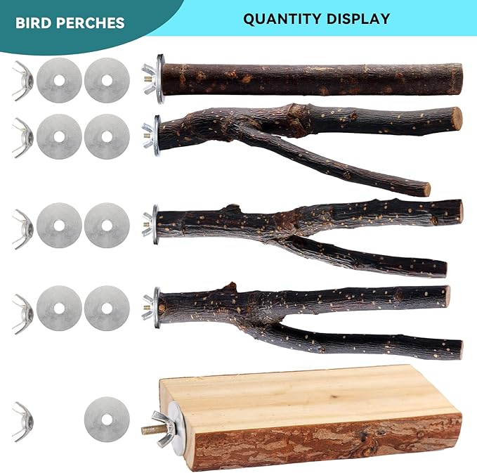 Bird Toys Parakeet Perch Budgie Perch Wood Stand Fork Toys Multi-Branch Perch - Image 7