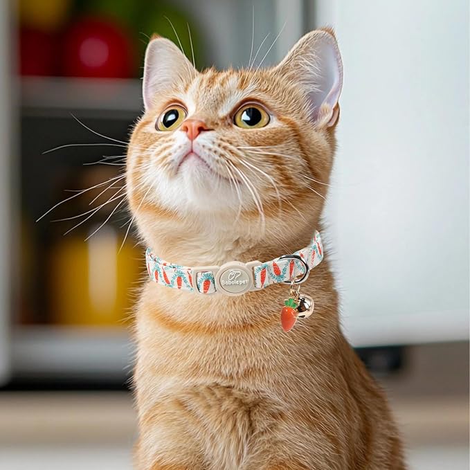 2 Pack Cute Cat Collars - Image 5
