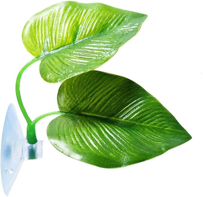 CousDUoBe 1 Pack Betta Fish Leaf Pad Improves Betta's Health by Simulating The - Image 8