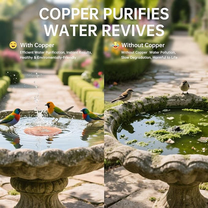 2 Pack Bird Bath Copper Disk, Premium 0.6mm Sturdy 99.99% Pure Copper Disk - Image 3