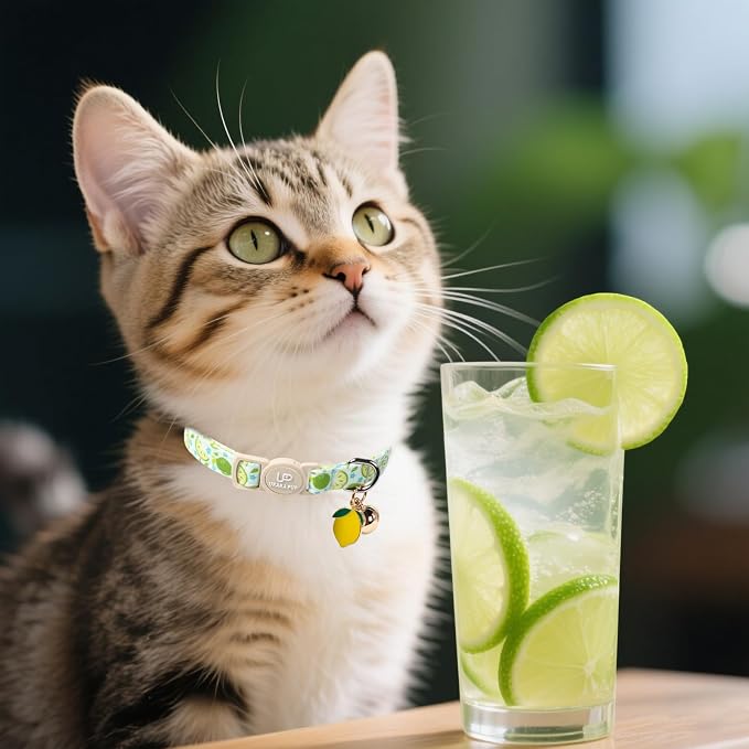 Cat Collar, Cat Collar with Bell, - Image 5