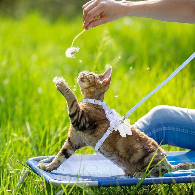 TIESOME Cat Harness and Leash Set, Adjustable Gradient Kitten Harness Escape - Image 5