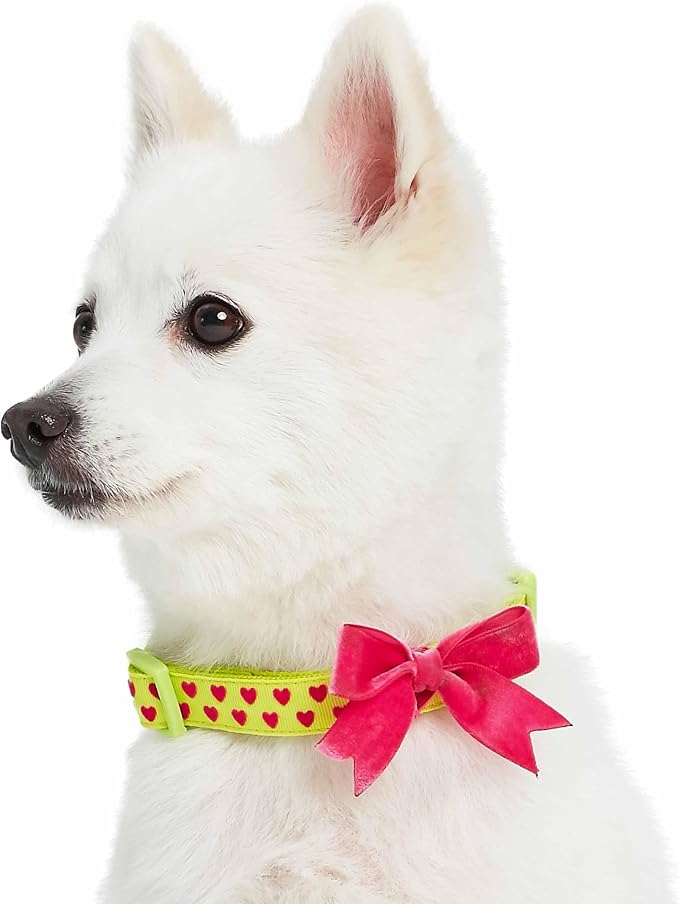 Blueberry Pet Adjustable Flocking Dog Collar - Image 9