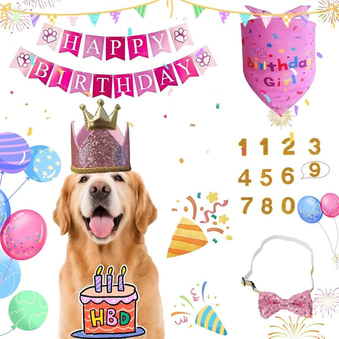 Happy Birthday Dog Party Supplies Kit - Image 5
