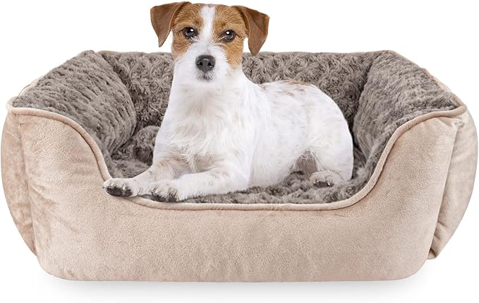 JOEJOY Rectangle Dog Bed for Large Medium Small Dogs Machine Washable Sleeping by JOEJOY