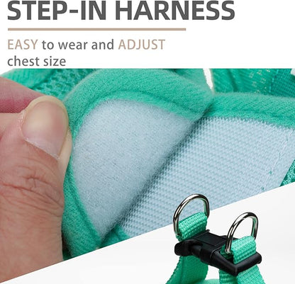 PUPTECK Adjustable Dog Harness Collar and Leash Set Step in No Pull Pet Harness - Image 3