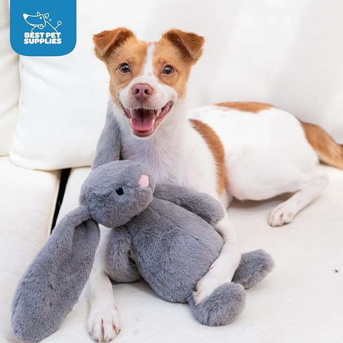 Best Pet Supplies Interactive Squeaky Dog Chew Toy, Ideal Dog Toys - Image 6