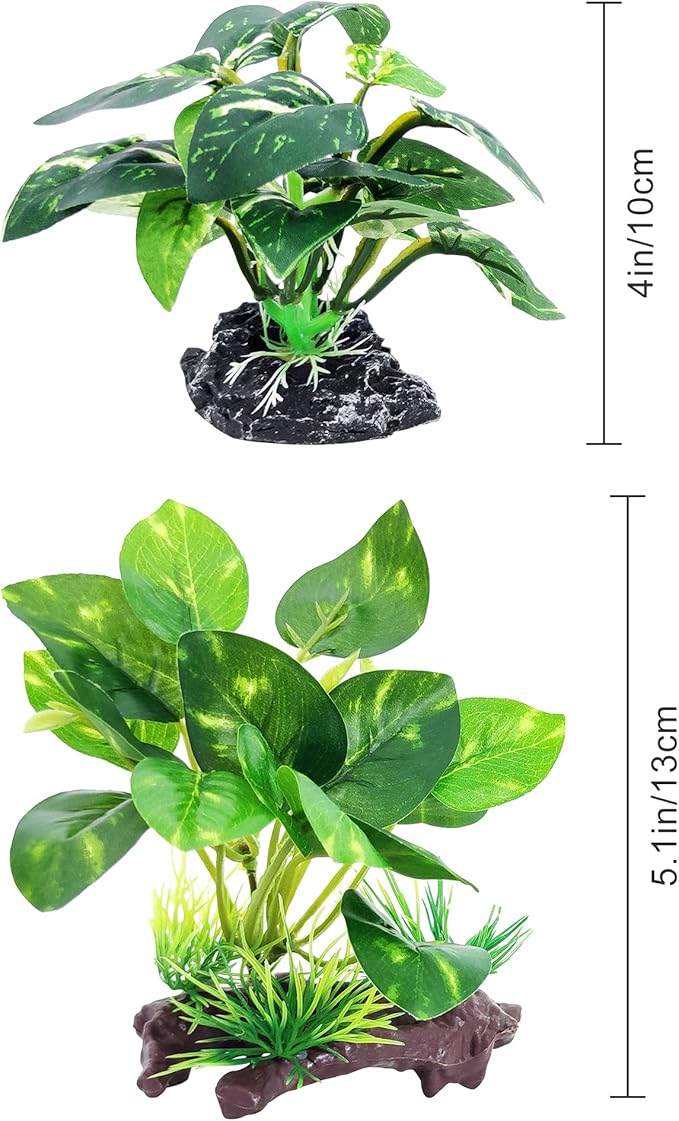 5Pack Tall Aquarium Plants - Image 6