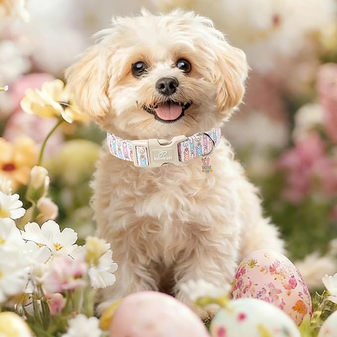 Easter Dog Collar for Puppy Small Dogs - Image 2