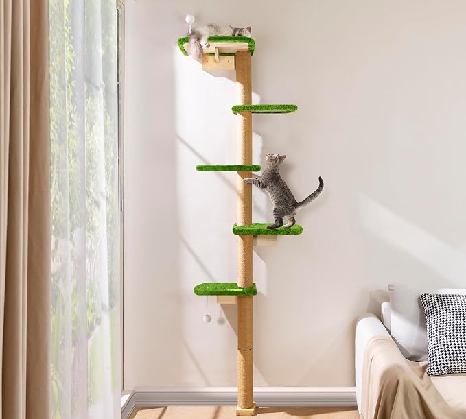 Floor to Ceiling Cat Tree for Kittens, Wall Mounted Cat Wall Furniture by PELUOMOZ