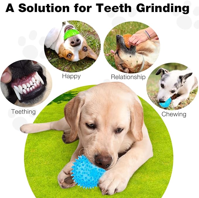 Puppy Toy 2.5” Squeaky Dog Balls Toys and Spikey Dog Ball - Image 5
