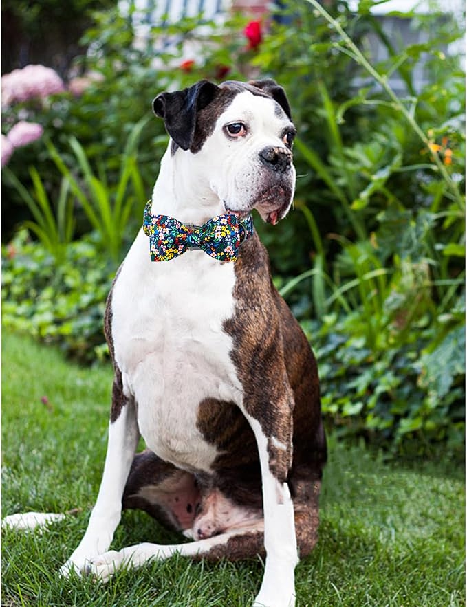 Lionheart glory Dog Collar Darkblue Flower Dog Bow Collars Floral Dog Collar - Image 6