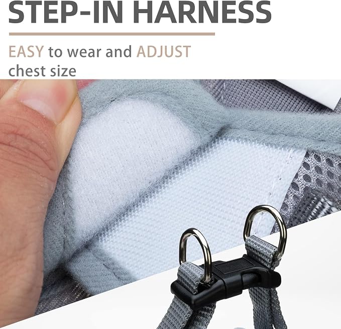 PUPTECK Adjustable Dog Harness Collar and Leash Set Step in No Pull Pet Harness - Image 3